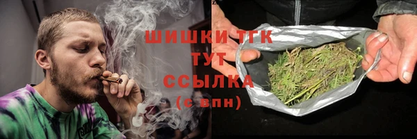 гидра Армянск