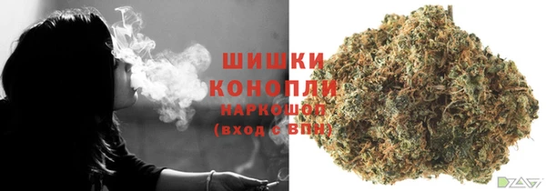 ГАЛЛЮЦИНОГЕННЫЕ ГРИБЫ Арсеньев
