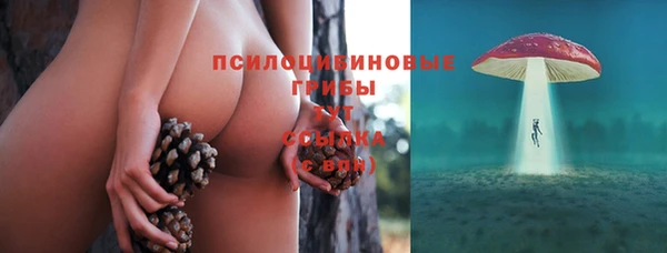ГАЛЛЮЦИНОГЕННЫЕ ГРИБЫ Арсеньев