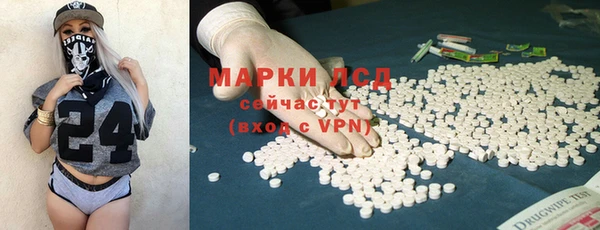 ГАЛЛЮЦИНОГЕННЫЕ ГРИБЫ Арсеньев