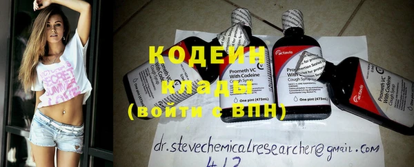 ГАЛЛЮЦИНОГЕННЫЕ ГРИБЫ Арсеньев